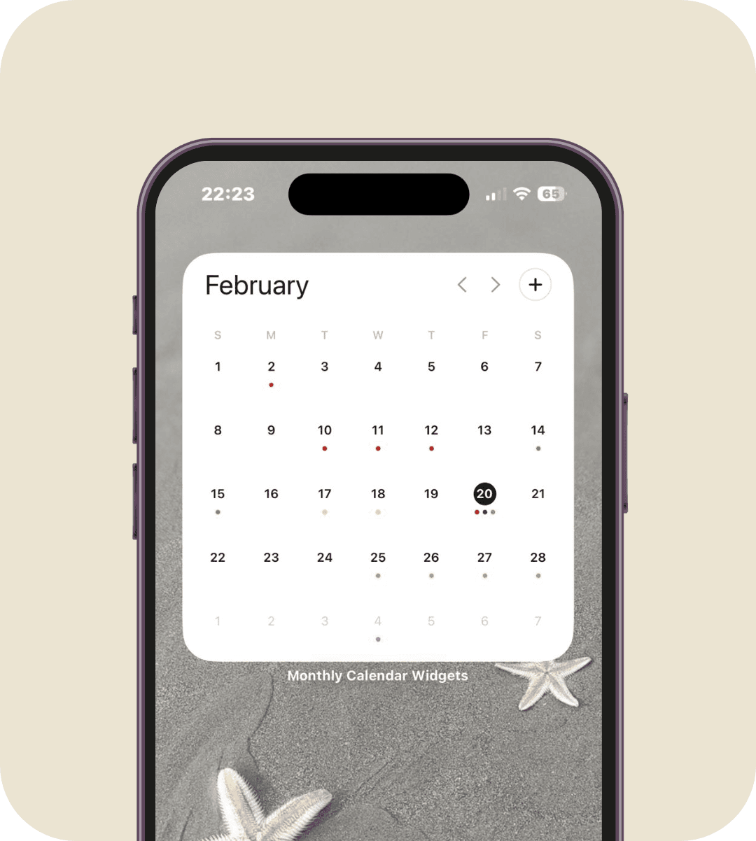 Large in Minimalist theme