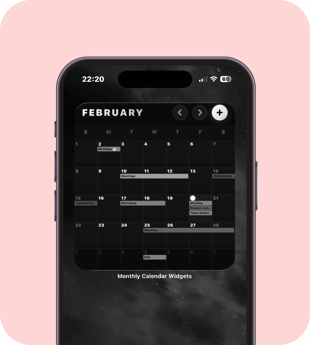 Large in Monochrome theme